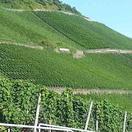Weinhaus Hotel Zum Josefshof Graach Екстер'єр фото