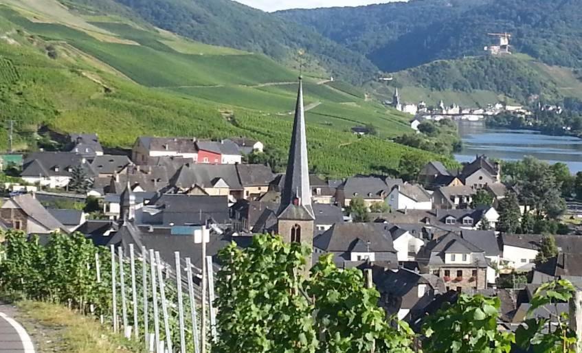 Weinhaus Hotel Zum Josefshof Graach Екстер'єр фото